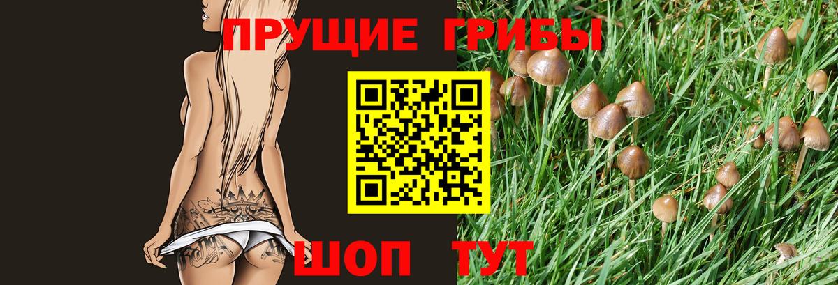 Галлюциногенные грибы Psilocybine cubensis  Вход с VPN  Щёлково 