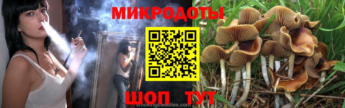Псилоцибиновые грибы мицелий Щёлково